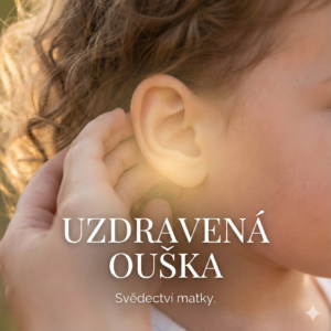 Obrázek ke sdílení náhled