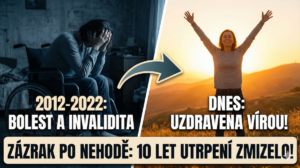 Obrázek ke sdílení náhled