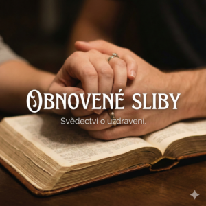 Obrázek ke sdílení náhled