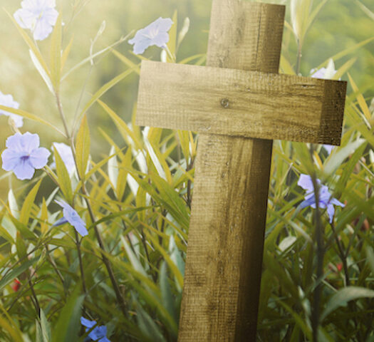 Nové stvoření: Co znamená obnova mysli a vliv světa?