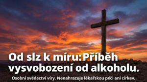 Obrázek ke sdílení náhled