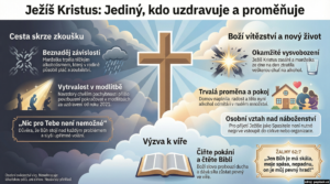 Infografika náhled