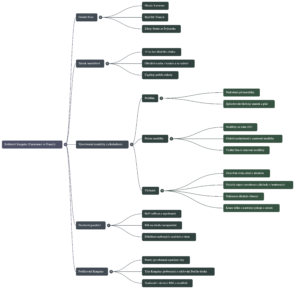 Myšlenková mapa náhled