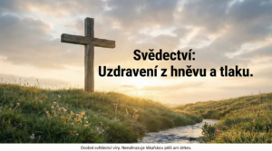 Obrázek ke sdílení náhled