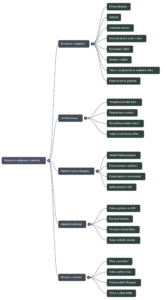 Myšlenková mapa náhled