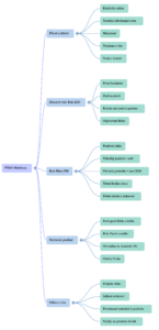 Myšlenková mapa náhled