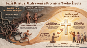 Infografika náhled