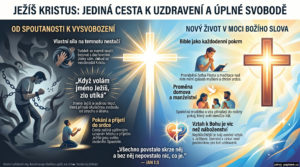 Infografika náhled