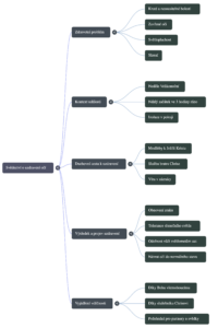 Myšlenková mapa náhled