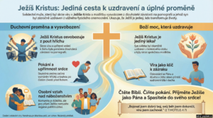 Infografika náhled