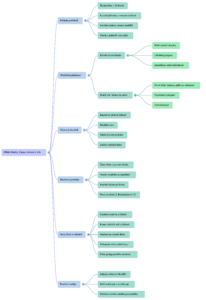 Myšlenková mapa náhled