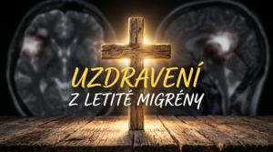 Obrázek ke sdílení náhled