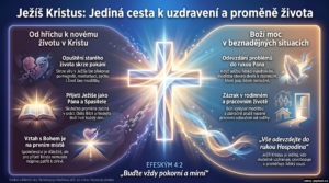 Infografika náhled