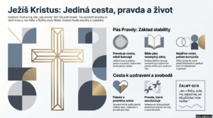 Infografika náhled