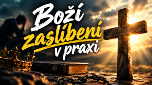 Obrázek ke sdílení náhled