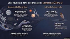Infografika náhled